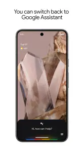 Google Assistant screenshot