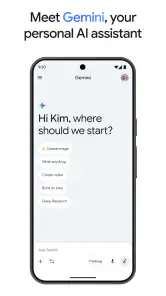 Google Gemini screenshot