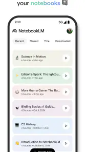 Google NotebookLM screenshot