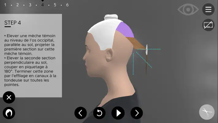 Hairteach screenshot 1
