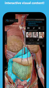 Human Anatomy Atlas 2025 screenshot