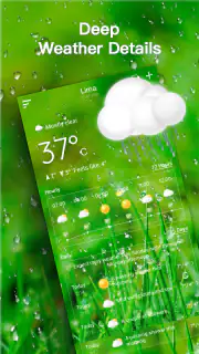 Live Weather Forecast screenshot 3