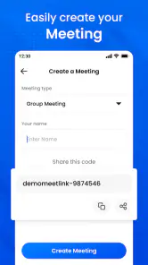 Meeting - Video Conference screenshot