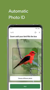Merlin Bird ID by Cornell Lab screenshot