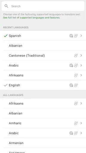 Microsoft Translator screenshot 1