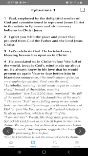 Mirror Study Bible screenshot 2
