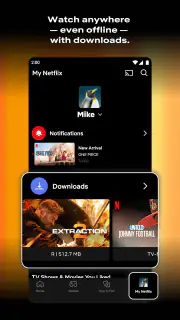 Netflix screenshot 2