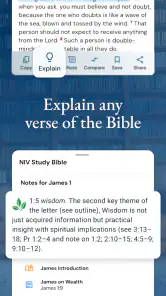 NIV Bible screenshot