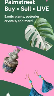 Palmstreet - Live shopping screenshot 7