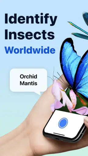 Picture Insect: Bug Identifier screenshot 1