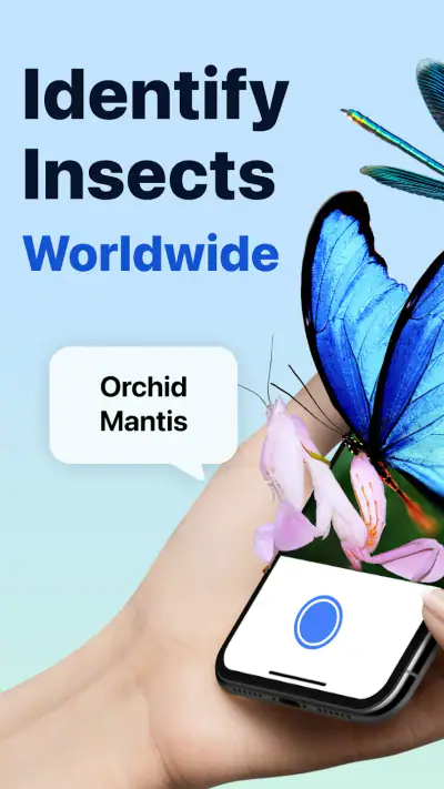 Picture Insect: Bug Identifier screenshot 1
