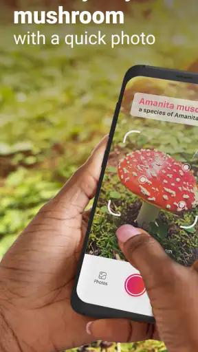 Picture Mushroom - Mushroom ID screenshot 1