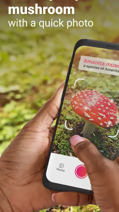 Picture Mushroom - Mushroom ID screenshot 1