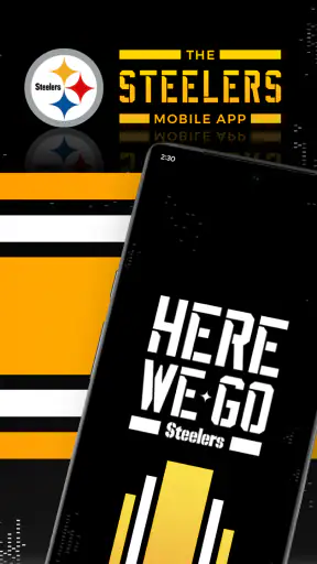 Pittsburgh Steelers screenshot 1