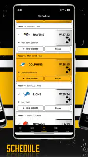 Pittsburgh Steelers screenshot 3