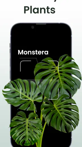 Plant Identifier: Plantiary screenshot 1