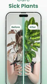 Plantify: AI Plant Identifier screenshot