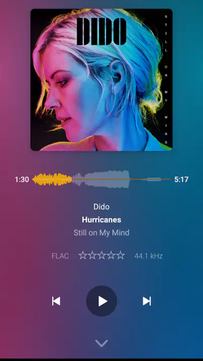 Plexamp screenshot 1