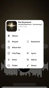 Poweramp: Music Player (Trial) screenshot