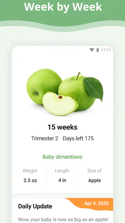 Pregnancy App screenshot 1
