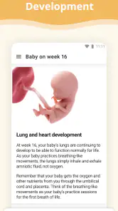 Pregnancy App screenshot