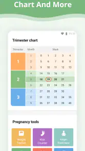 Pregnancy App screenshot