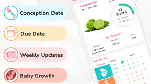 Pregnancy Calculator: Due Date screenshot 1