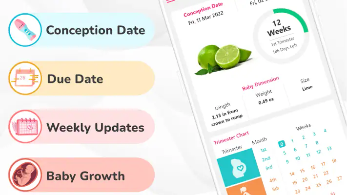 Pregnancy Calculator: Due Date screenshot 1