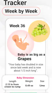 Pregnancy Calculator: Due Date screenshot 8