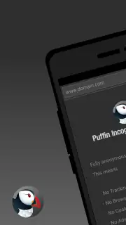 Puffin Incognito Browser screenshot 1