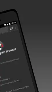 Puffin Incognito Browser screenshot 2