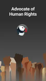 Puffin Incognito Browser screenshot 3