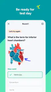Quizlet: Study with Flashcards screenshot