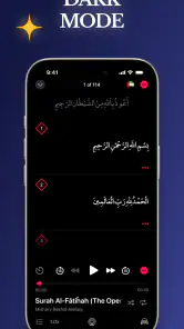 Quran Pro: Read the Holy Quran screenshot