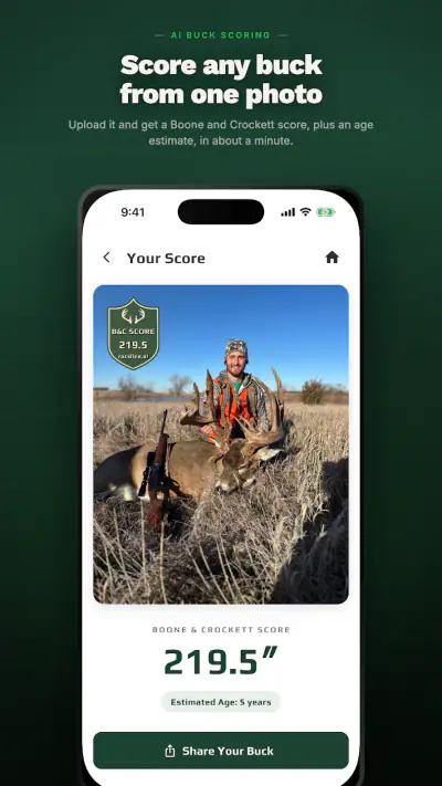 rackline.ai - AI Deer Scoring screenshot 1