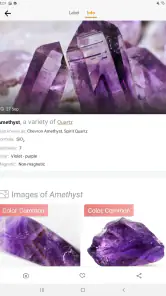 Rock Identifier: Stone ID screenshot