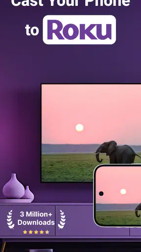 Roku Screen Mirror & Cast TV screenshot 1
