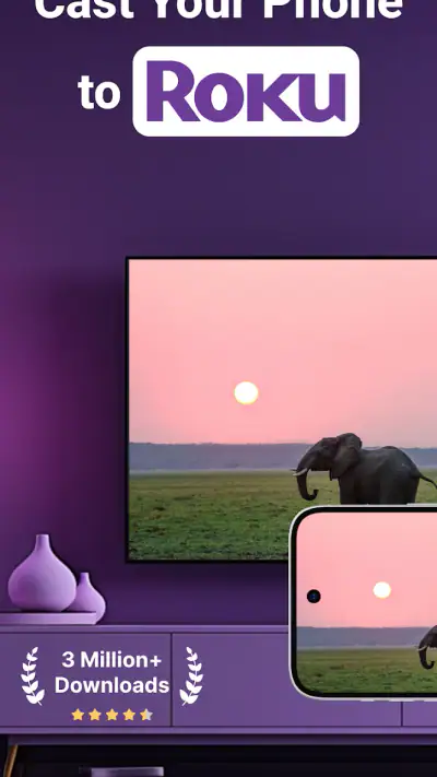 Roku Screen Mirror & Cast TV screenshot 1