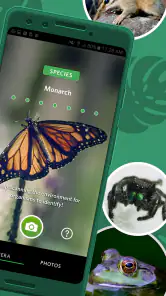 Seek by iNaturalist screenshot