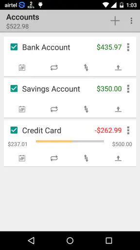 Simple Checkbook Ledger screenshot 1