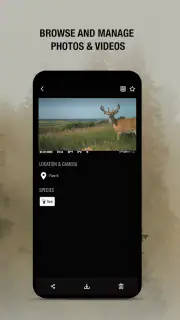 SPYPOINT screenshot 3
