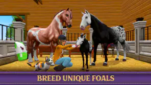 Star Equestrian - Horse Ranch screenshot 1