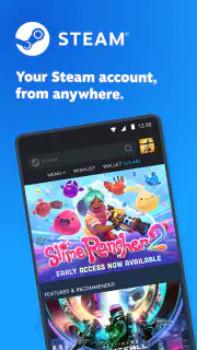 Steam screenshot 1