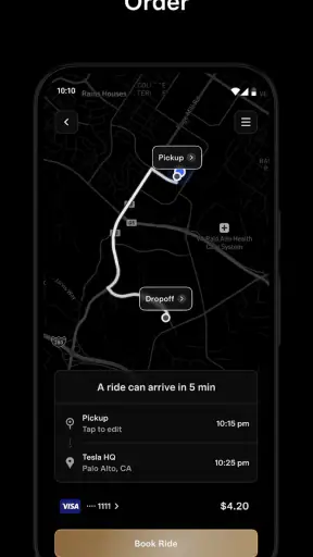 Tesla Robotaxi screenshot 1
