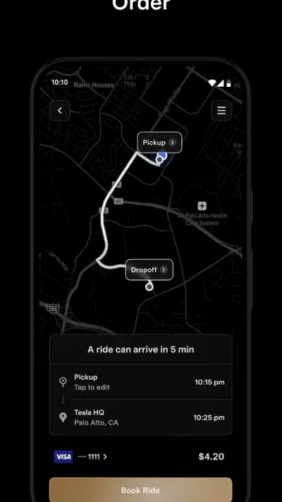 Tesla Robotaxi screenshot 1