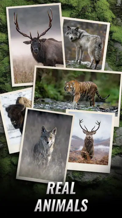 Trophy Hunter – Hunting Game screenshot 1