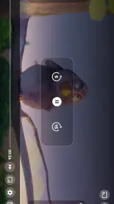 Url Player + screenshot