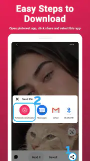 Video Downloader for Pinterest screenshot 2
