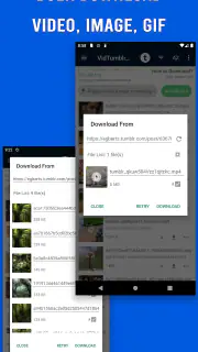 Video Downloader for Tumblr screenshot 2