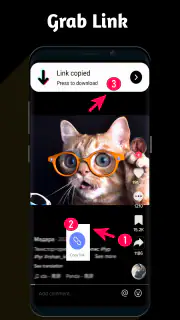 Video Downloader TSaver screenshot 1